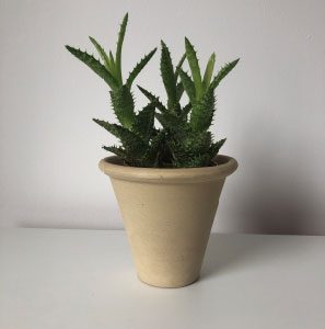 Terracotta Pflanzentopf Modell M3