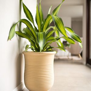 Nyllo Terracotta Pflanzentopf Modell Marrakesch