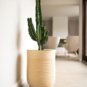 Nyllo Terracotta Pflanzentopf Modell Paris