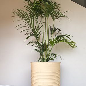 Nyllo Terracotta Pflanzentopf Modell Paris